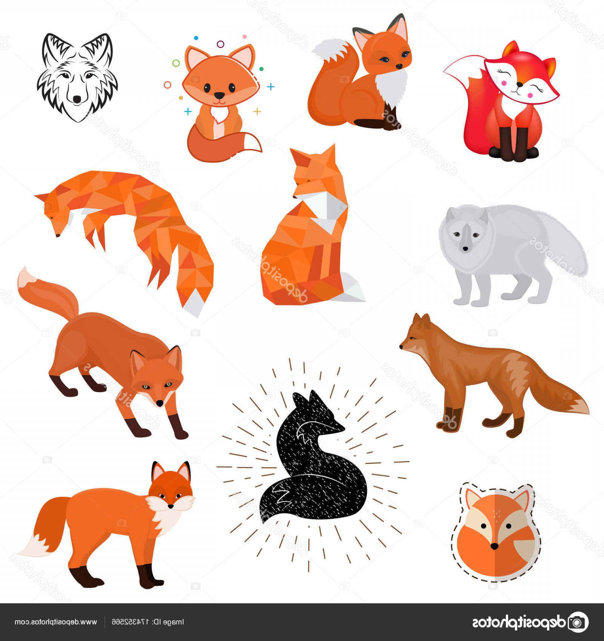 1920x2040 Stock Illustration Fox Vector Cartoon Cute Illustration Geekchicpro
