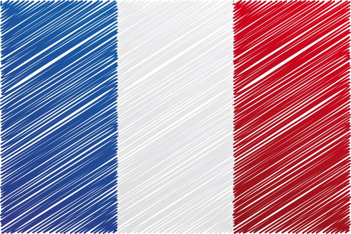 700x467 France Flag, Vector Illustration Wall Mural We Live To