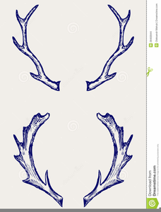 228x300 Free Antler Clipart Free Images