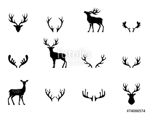500x386 Set Of Antlers, Silhouette, Vector Stock Image And Royalty Free