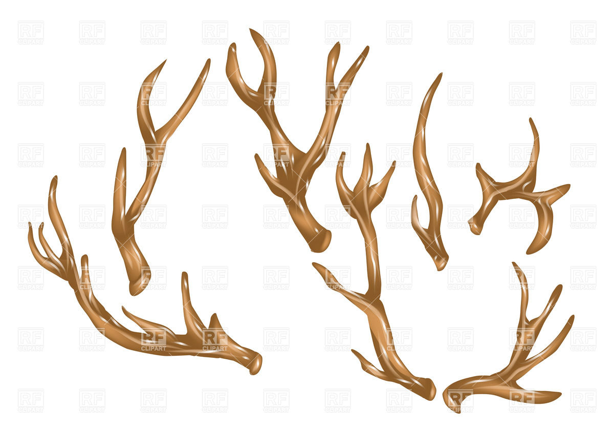 1200x849 Antlers Vector Image Vector Artwork Of Plants And Animals