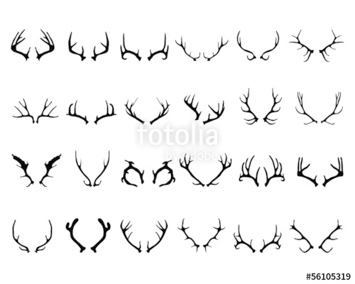 500x400 Collection Of Different Silhouettes Of Deer Antlers, Vector Stock