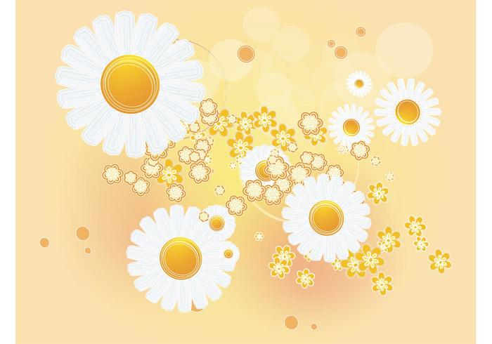 700x490 Daisy Background