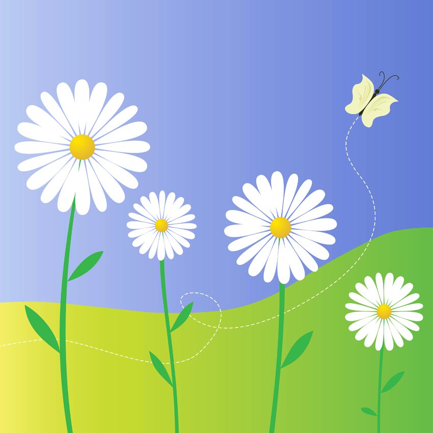 850x850 Daisy Flowers Vector Art Amp Graphics