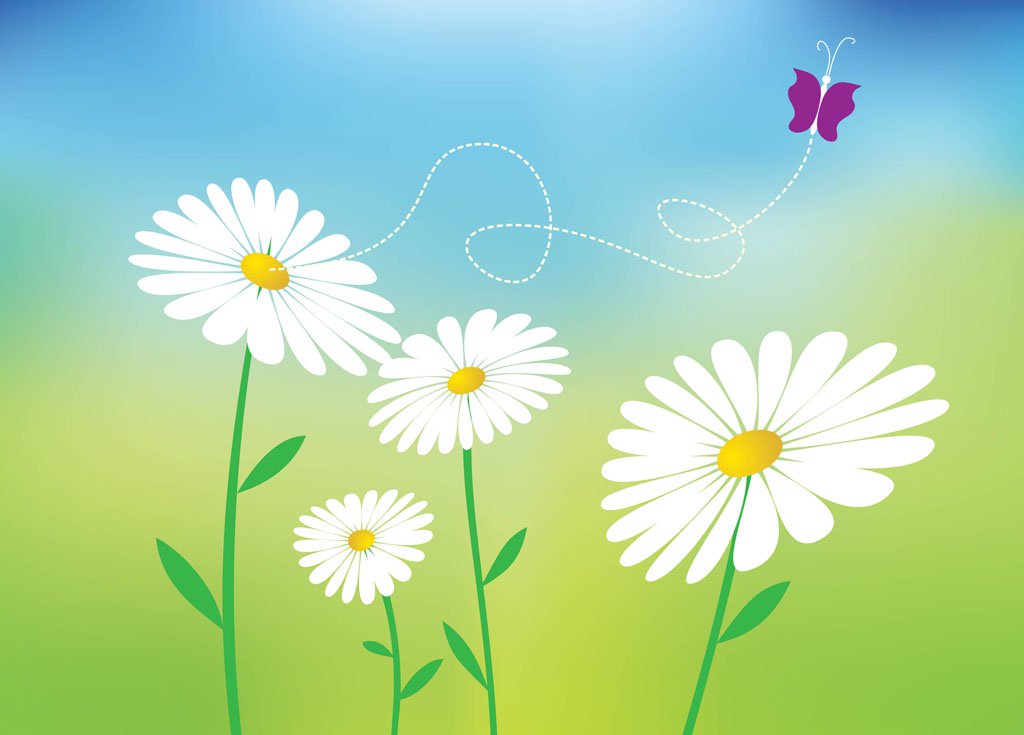 1024x735 Daisy Vectors Vector Art Amp Graphics