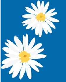 225x278 Romashka Daisy Flower 3 Free Vector 4vector