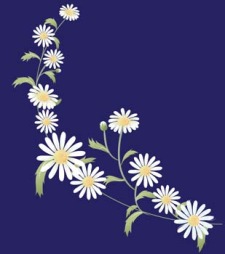 225x254 Romashka Daisy Flower 8 Free Vector 4vector