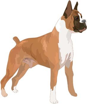 293x350 Free Dog Vector 9 Clipart And Vector Graphics