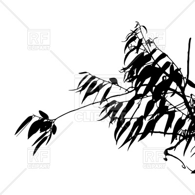 400x400 Eucalyptus Tree Silhouette Vector Image Vector Artwork Of Plants