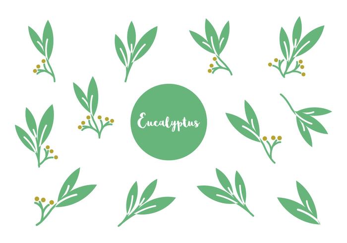 700x490 Free Eucalyptus Icon Vector