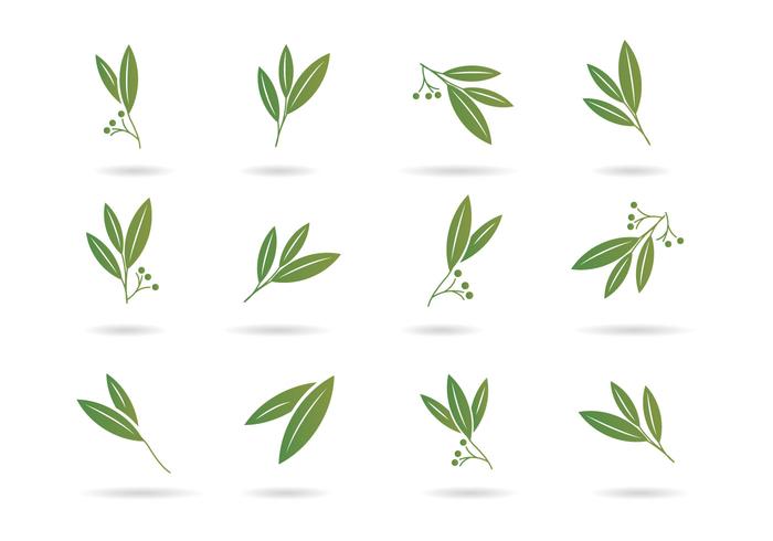 700x490 Free Eucalyptus Icons
