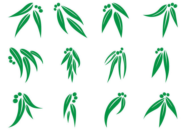 632x443 Free Eucalyptus Leaf Logo Vector Free Vector Download 370395