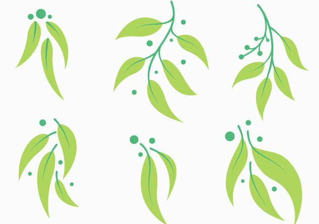 632x443 Free Eucalyptus Vector 1 Free Vector Download 374569 Cannypic