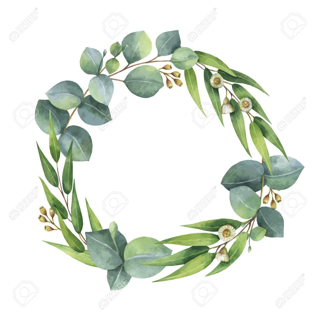 1300x1300 Collection Of Eucalyptus Clipart Free High Quality, Free