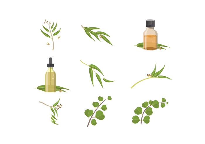 700x490 Free Eucalyptus Vectors