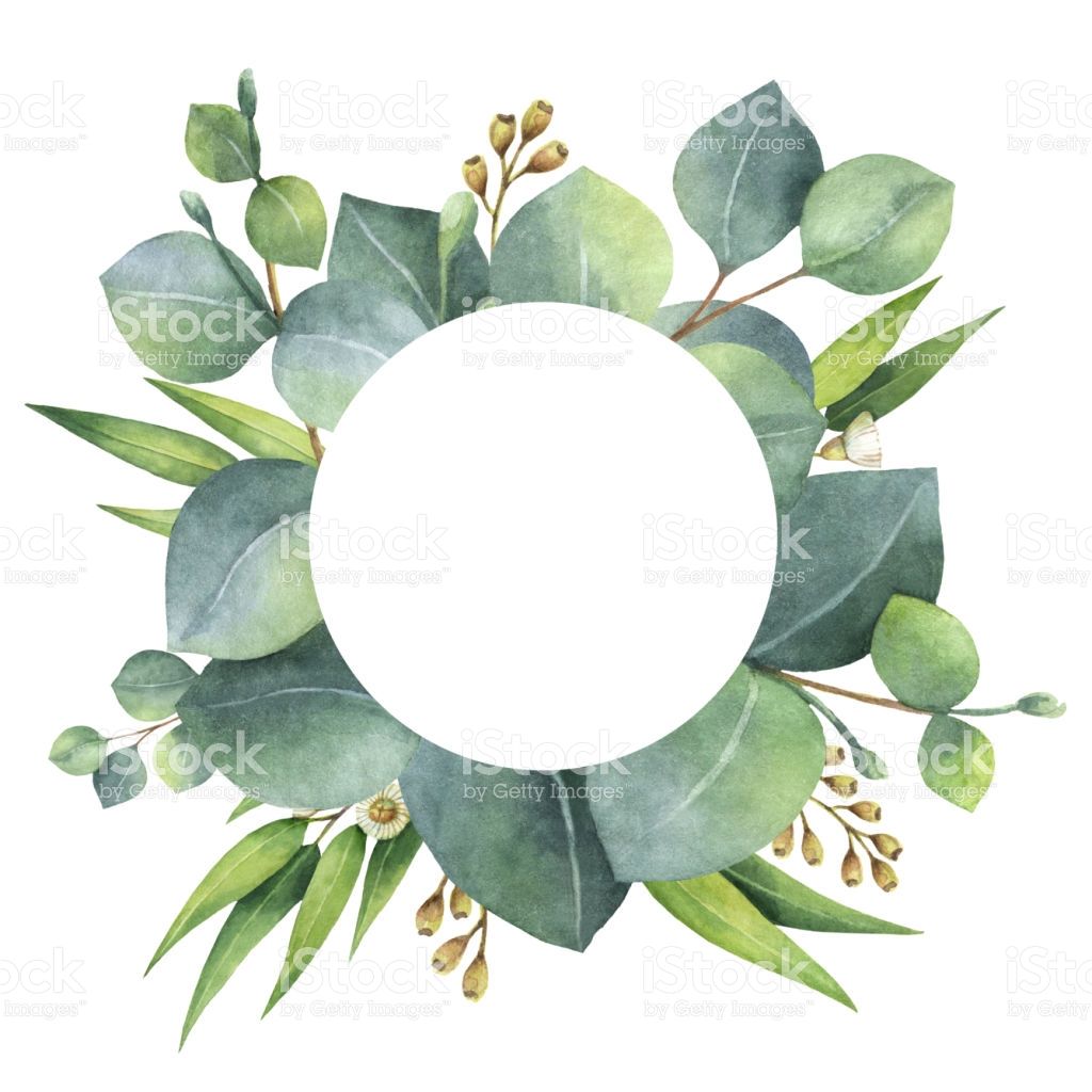 1024x1024 Watercolor Hand Painted Round Wreath With Eucalyptus Leaves And