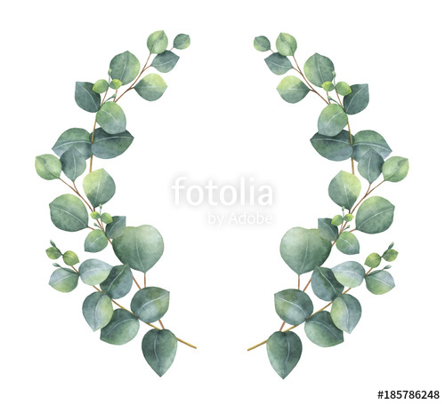 500x455 Watercolor Vector Wreath With Silver Dollar Eucalyptus Leaves And