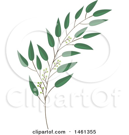 450x470 Clipart Of A Green Eucalyptus Branch