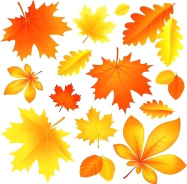 373x368 Clip Art Fall Leaf Seasons Winter Free Clipart Leaf Outline