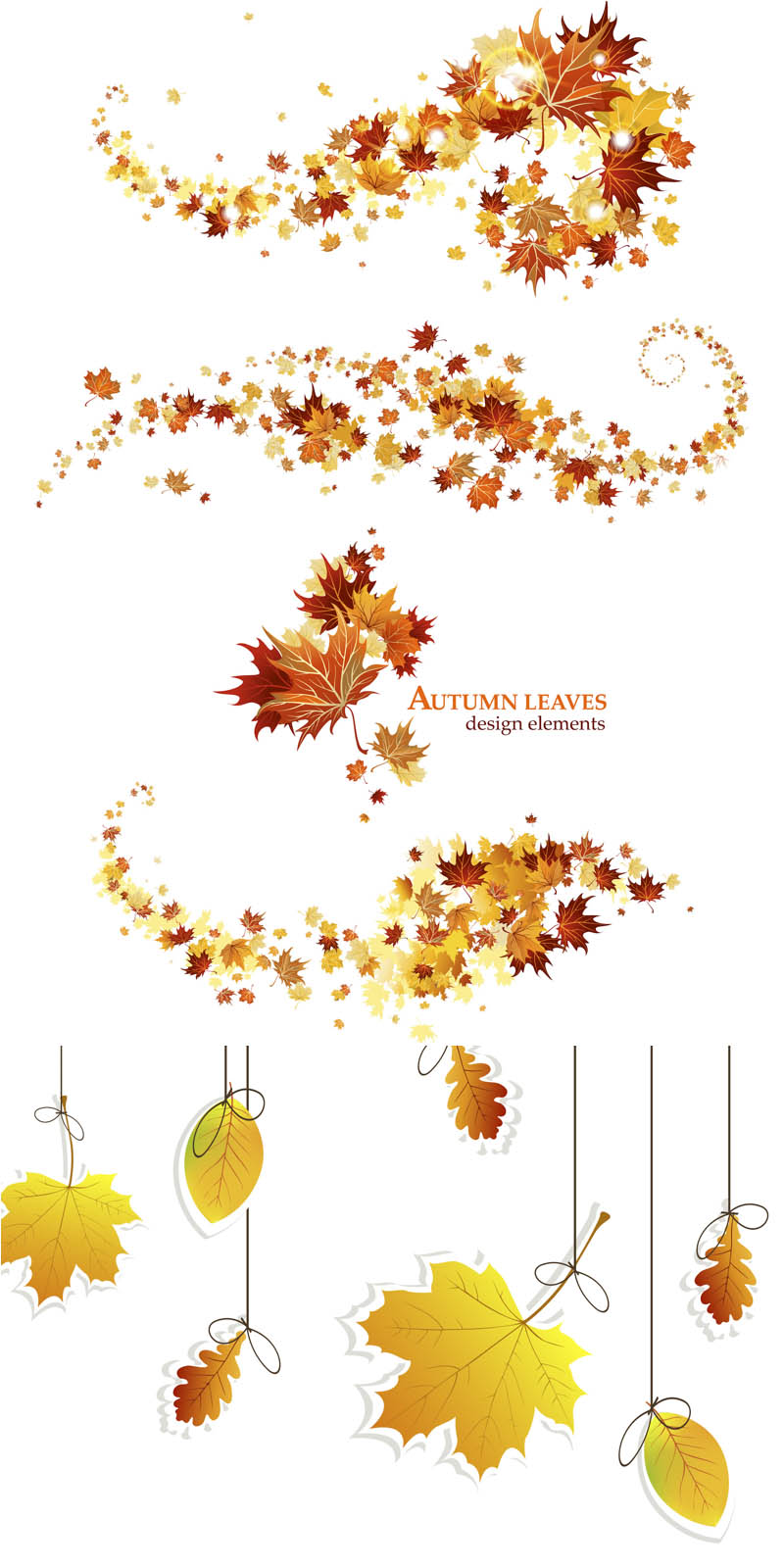 800x1600 Autumn Vector Graphics Clipart