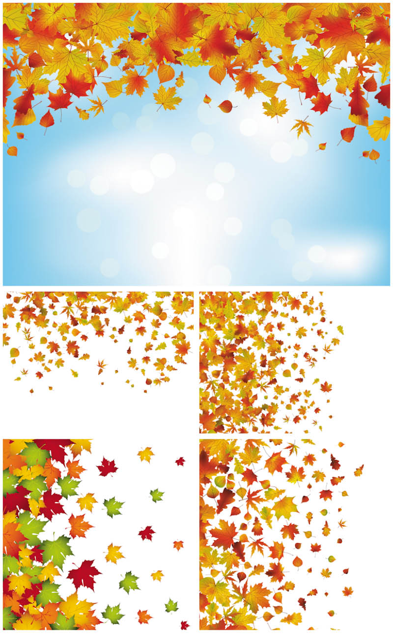 800x1300 Autumn Backgrounds Vector 2 Free Stock Vector Art