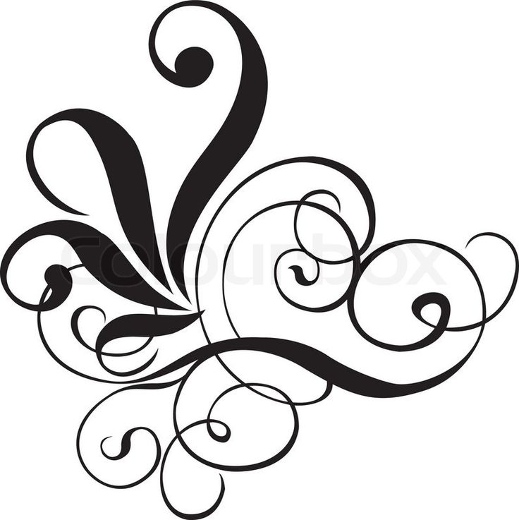 736x737 Line Art Clipart Filigree 3673136
