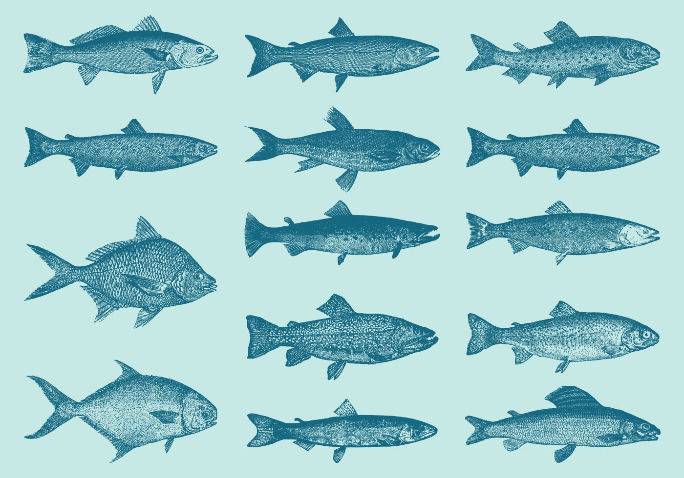 1400x980 Fish Free Vector Art