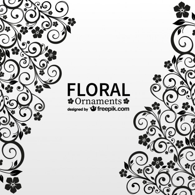 626x626 Floral Vectors, Photos And Psd Files Free Download