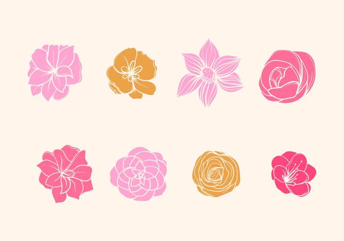 700x490 Camelia Flower Vector