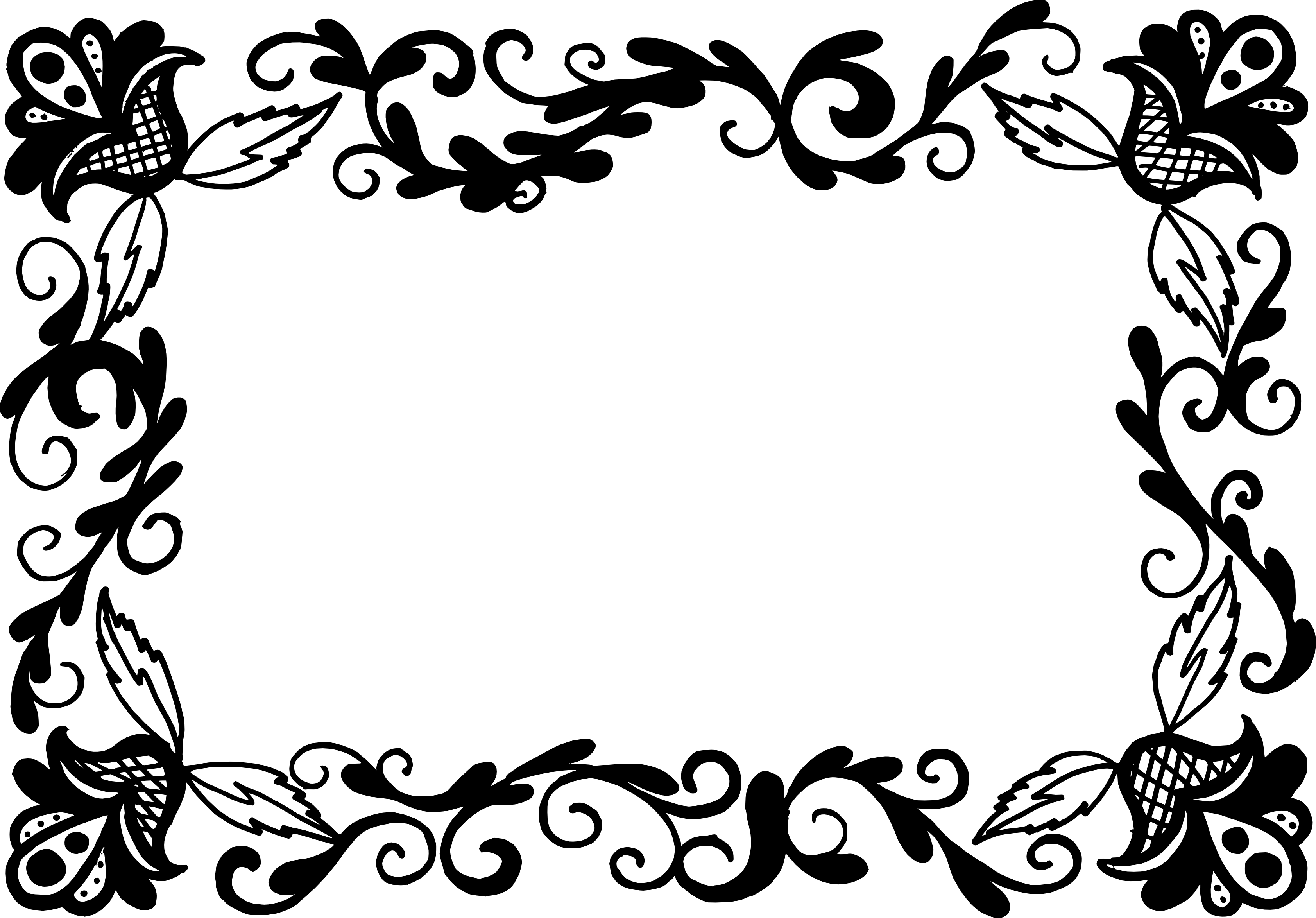 3367x2348 Flower Floral Design