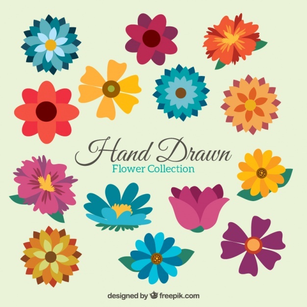 626x626 Flower Vectors, Photos And Psd Files Free Download