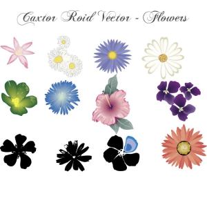 300x300 Flower Vector