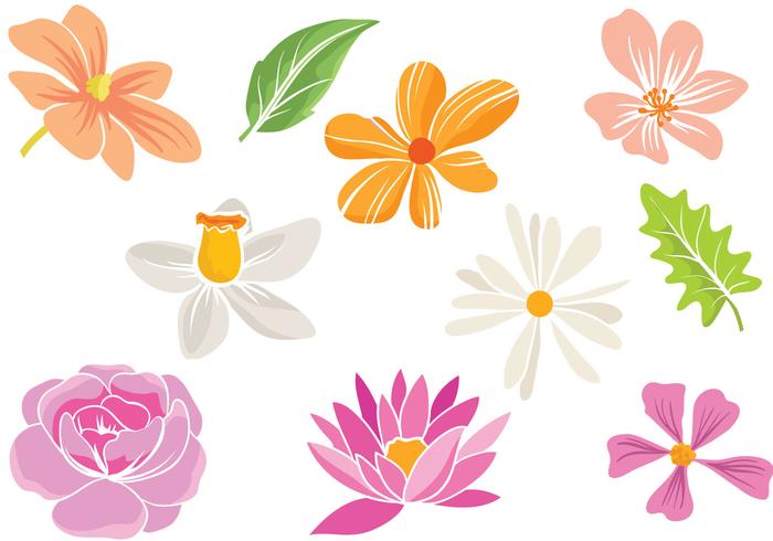 700x490 Free Simple Flowers Vectors