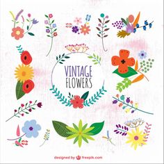 236x236 259 Best Vectors Images Vector Free, Vectors And