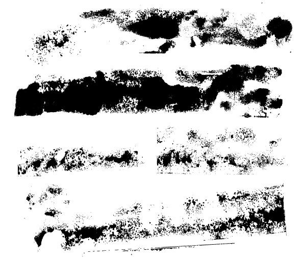 600x512 Free Vector Grunge Graphics For Designers And Illustrators