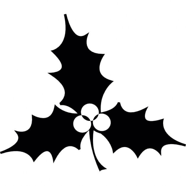 626x626 Holly Vectors, Photos And Psd Files Free Download