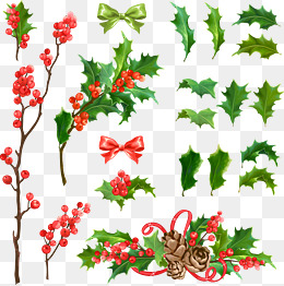 260x262 Christmas Holly Png, Vectors, Psd, And Clipart For Free Download