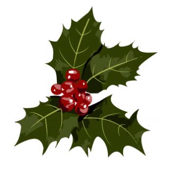 349x351 Christmas Holly Vectors, Photos And Psd Files Free Download