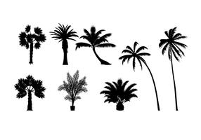 Free Palm Leaf Vector