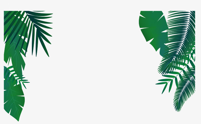 650x400 Green Palm Leaf Decoration Vector, Palm Leaf Vector, Green Vector