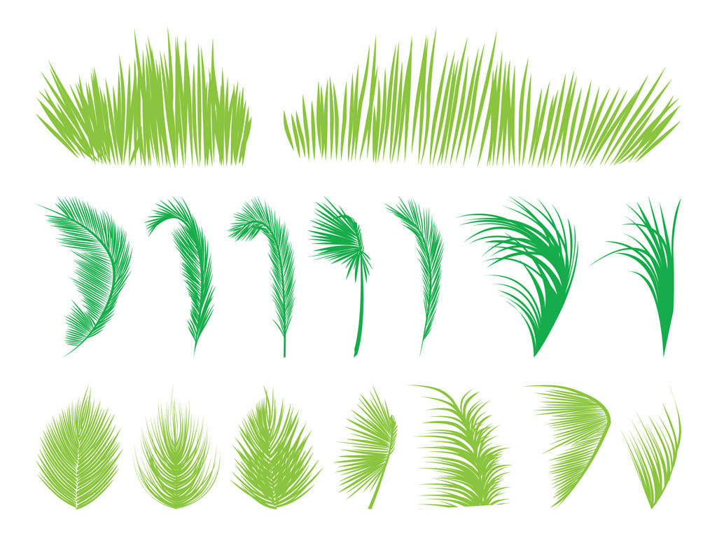 1024x765 Palm Tree Leaves Vector Art Amp Graphics