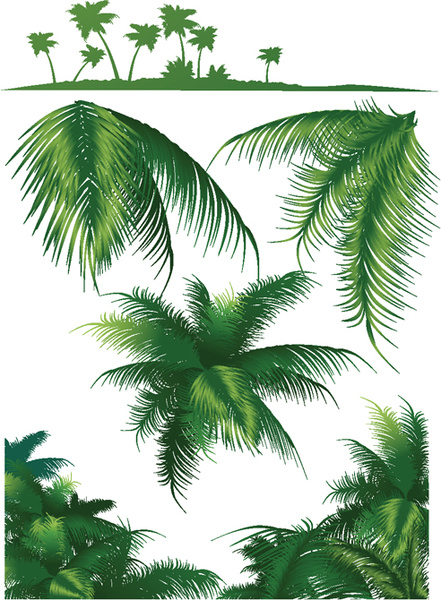 441x600 Set Of Green Palm Leaves Vector Free Vector In Adobe Illustrator