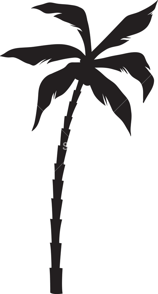 538x1000 Free Vector Palm Tree Art