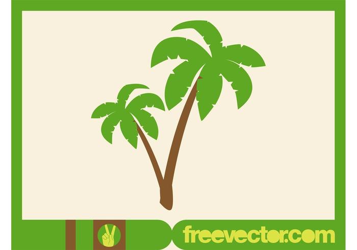 700x490 Palm Trees Vector