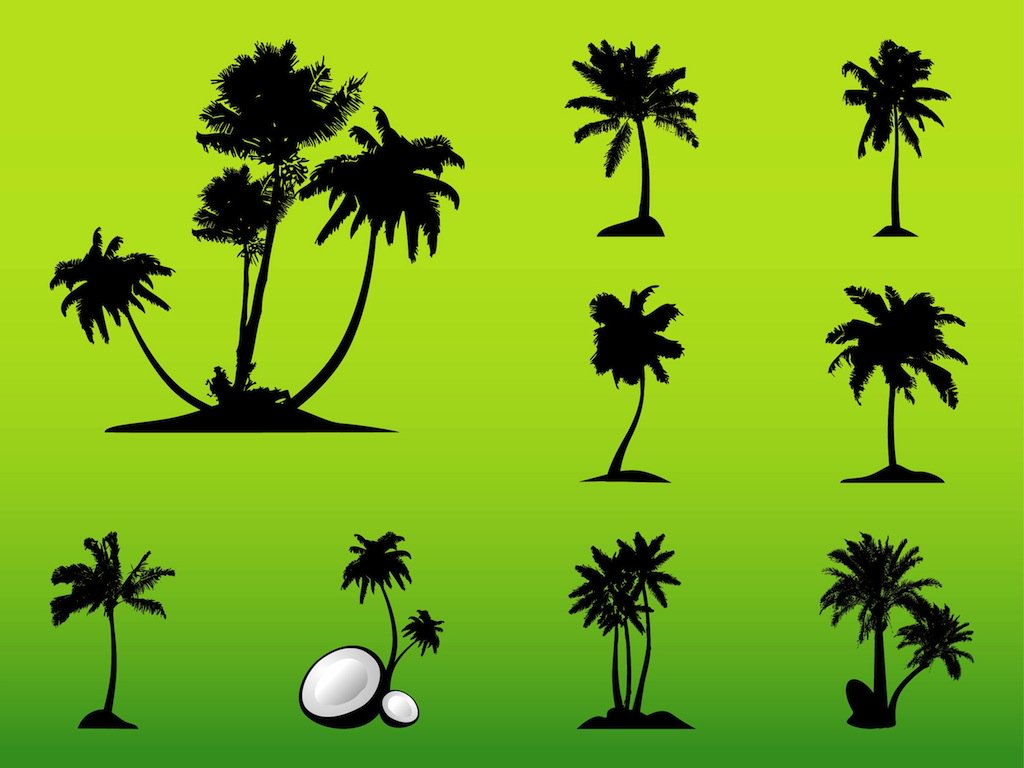 1024x768 Vector Palm Trees Vector Art Amp Graphics