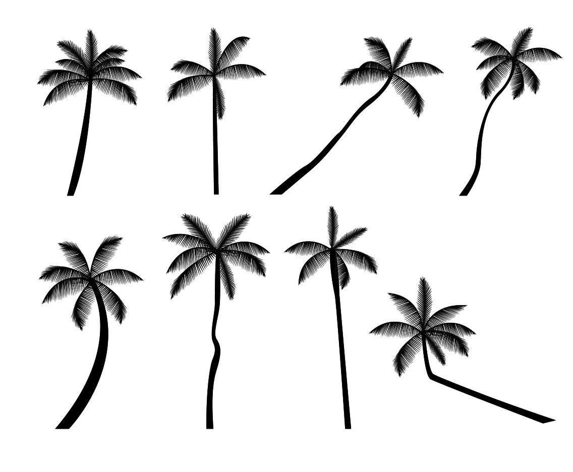 1136x936 Free Palm Tree Silhouette Vector Vector Art Amp Graphics