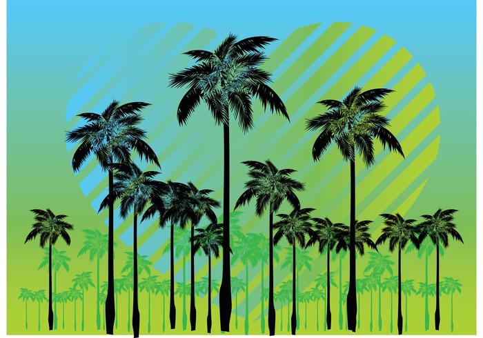 700x490 Free Palm Tree Vectors