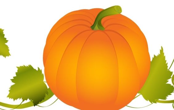 564x357 Pumpkin Vector Graphic Free Vector Download 179001 Cannypic