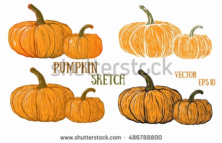 450x290 Pumpkin Vector Png New Trick Or Treat Halloween Pumpkin Vector Art