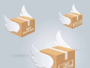 310x233 Vector Ships Free Vectors Ui Download